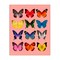 Stupell Industries Butterfly Species on Pink Canvas, design by LISH Creative